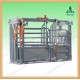 Hot Galvanized Cattle Weighing Scale on Sale