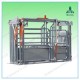 Galvanized or Powder Coated Cattle Weighing Scale