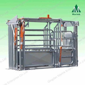 Powder Coated or HDG Cattle Squeeze Crate