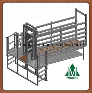 High Quality Livestock Yard / Cattle Deluxe Ramp