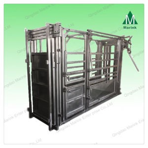 Popular in Australia Cattle Crate/ Squeeze Chute