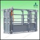 Animal Chute - Cattle & Cow Chute