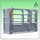 High Quality Powder Coated Cattle Chute