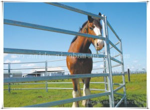 Steel Horse Paddock Fence/ Yards Panel Wholesale