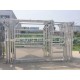 Galvanized Heavy Duty Cattle Squeeze Crush